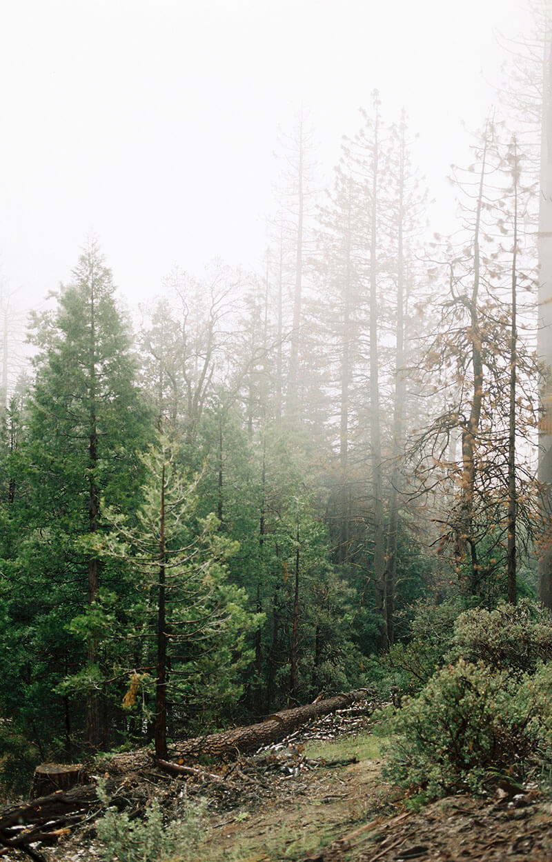 photographer-14